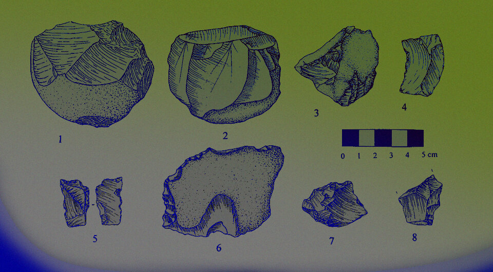   Mohamed Sahnouni et al. / Journal of Human Evolution, 2002; N + 1