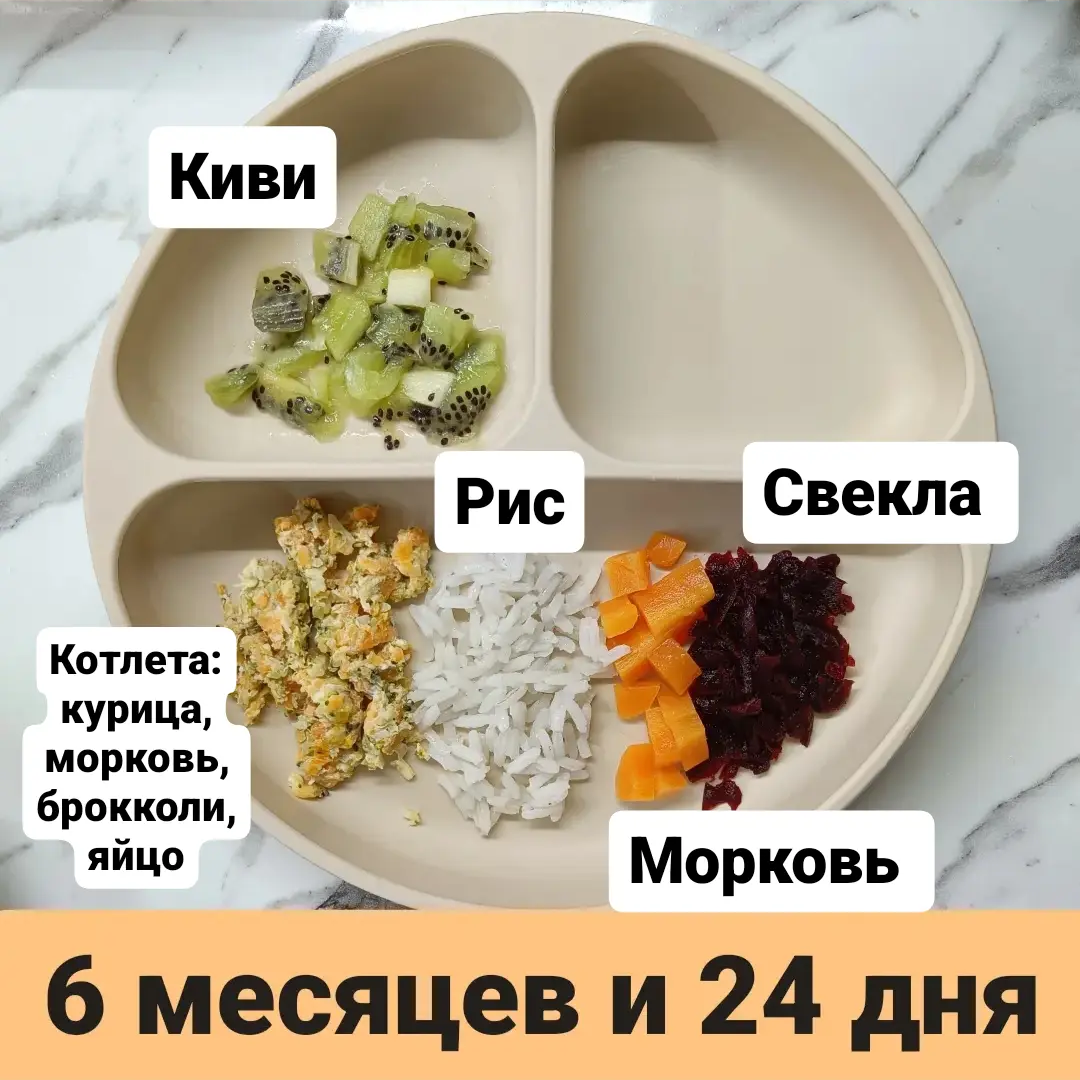 Пример тарелки в 6 месяцев 