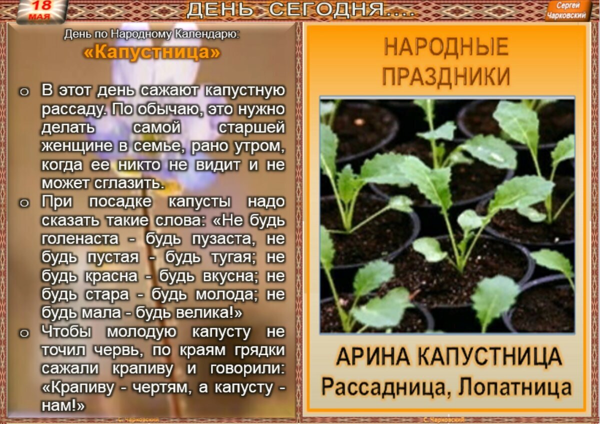 10 июня народный календарь. Сидор бокогрей 27 мая. Сидор бокогрей (народный праздник).. Стадии выращивания огурца. Народный календарь Сидор огуречник