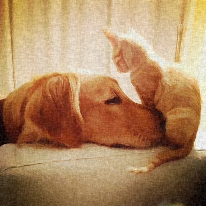 Ставьте лайк и подписывайтесь на мой канал:)