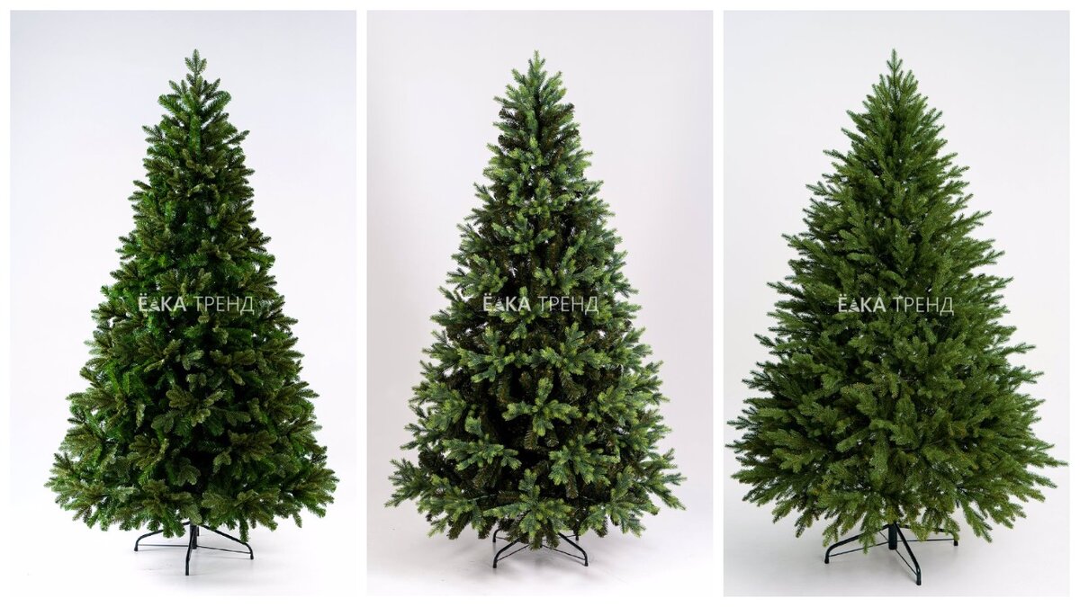 ели Барокко, Грацио и Берген