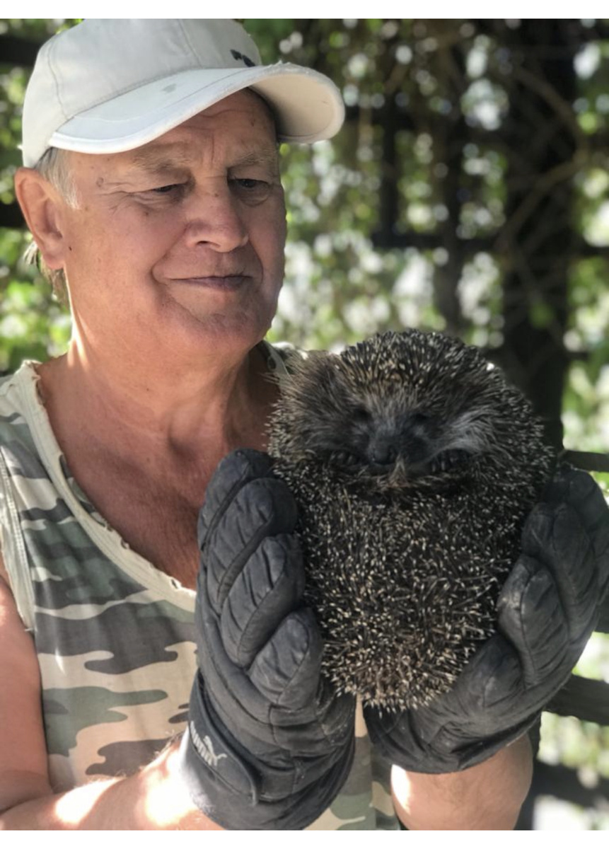 Папа поймал большого ежа)))