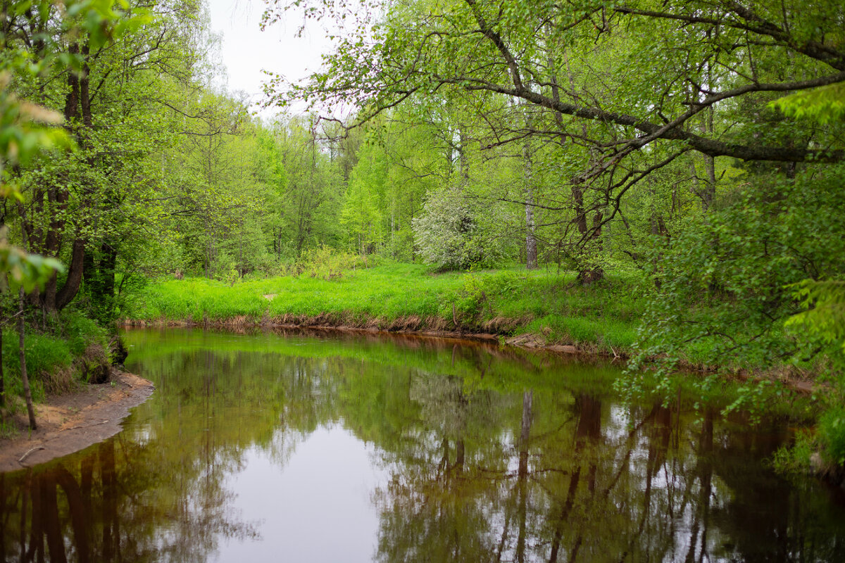 Турслёт в Тарасихе, май 2023