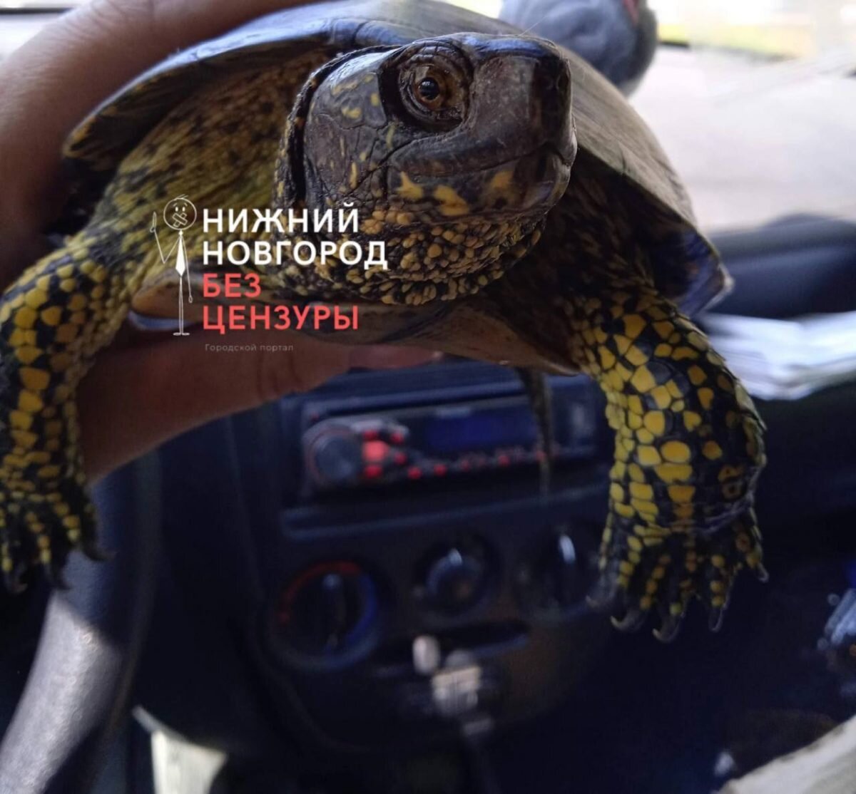    Автостанцию перенесут с площади Сенной после завершения строительства станции метро Мария Материкова