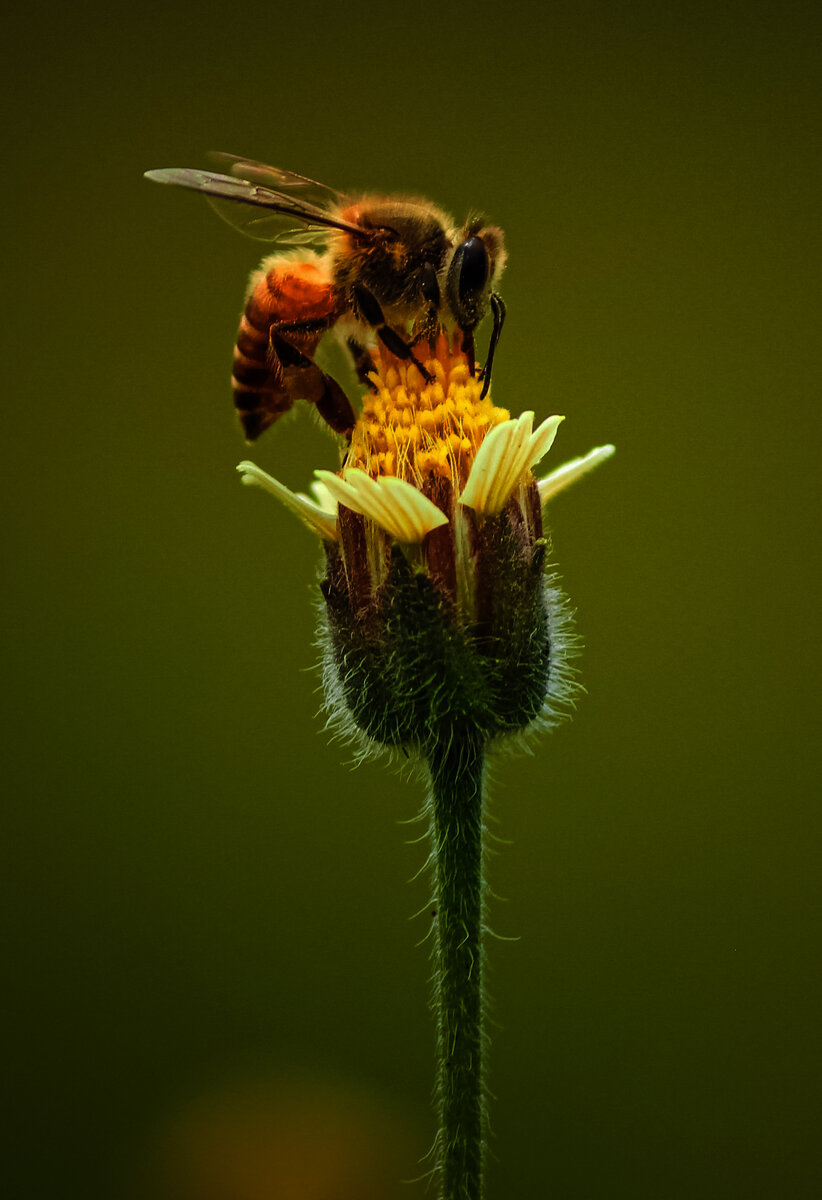 Источник фото Unsplash