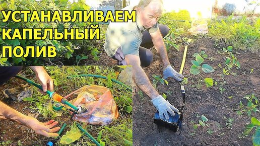 Капельный полив на даче своими руками: фото, видео | Компания «Большая земля»