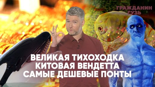 Великая тихоходка | Китовая вендетта | Самые дешевые понты | Гражданин Гузь