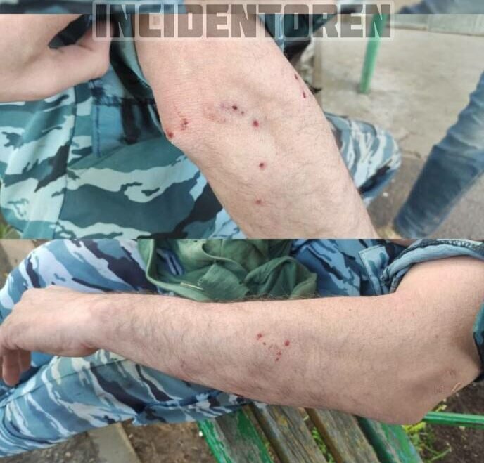    В Оренбурге нашли парня, который избил и натравил бойцовскую собаку на пенсионера Кристина Просвиркина