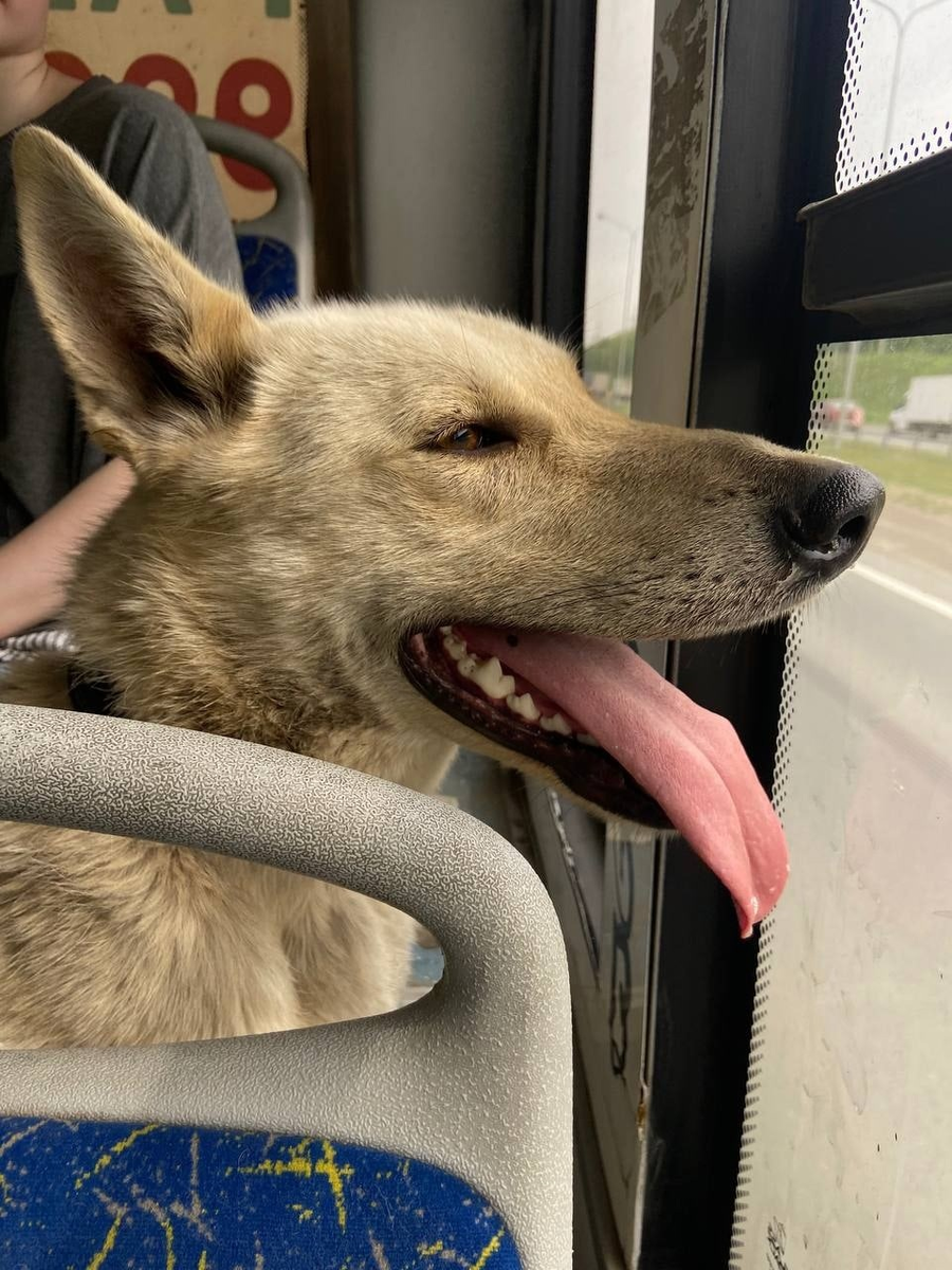 По дороге домой!