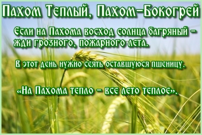 Фото из свободного доступа