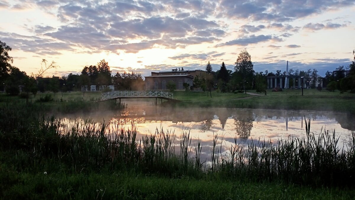 Заведите собаку, будите смотреть на рассветы))) 