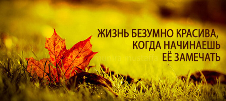 Картинка из интернета.