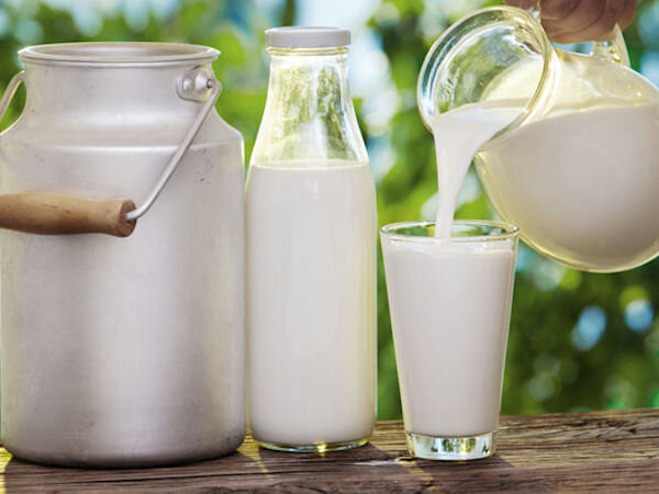 Козье молоко — богатый витаминами и минералами питательный продукт, который иногда считается даже более полезным, чем коровье. Но давайте разберемся подробнее, какое молоко все-таки лучше выбрать.-2