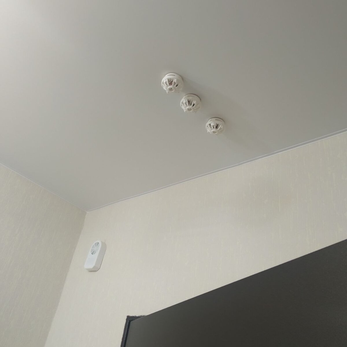 Пожарные тепловые извещатели. Фото автора