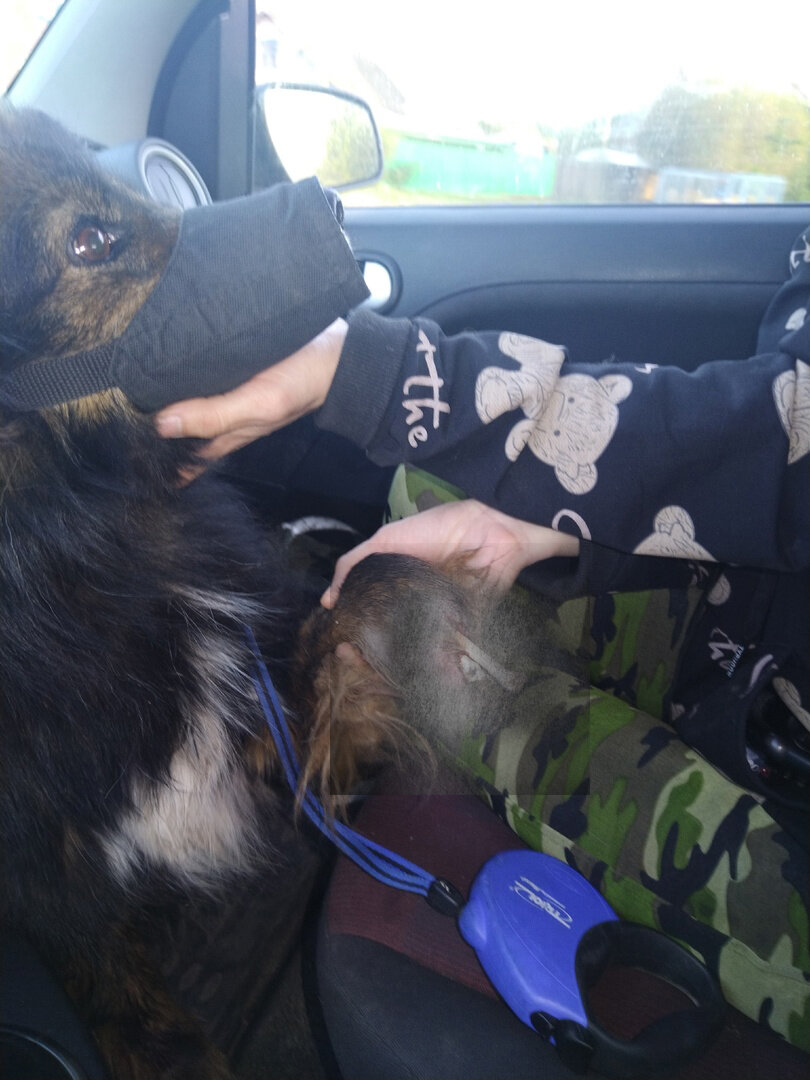 Максимально-минимально ретушировали проблему, надеюсь прокатит