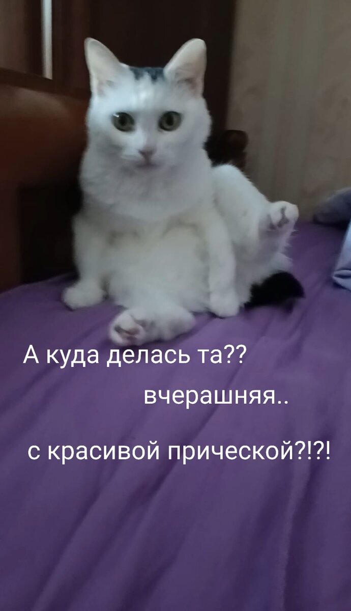 фото из личного архива