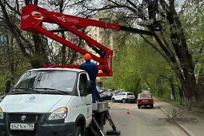    Опиловка деревьев в Московской области © Пресс-служба Главного управления содержания территорий Московской области