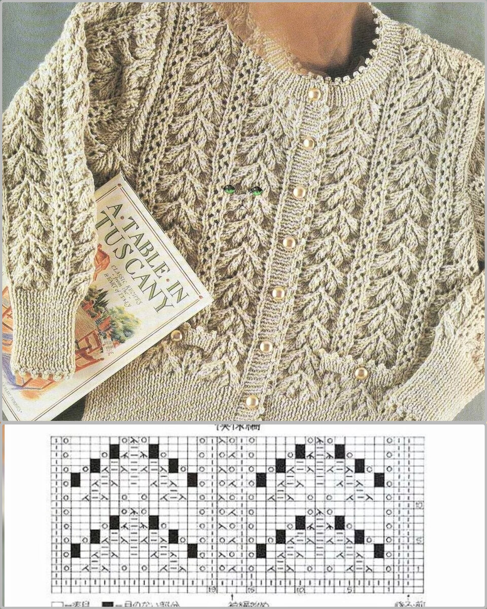 ,  !❤️🧶               .-5