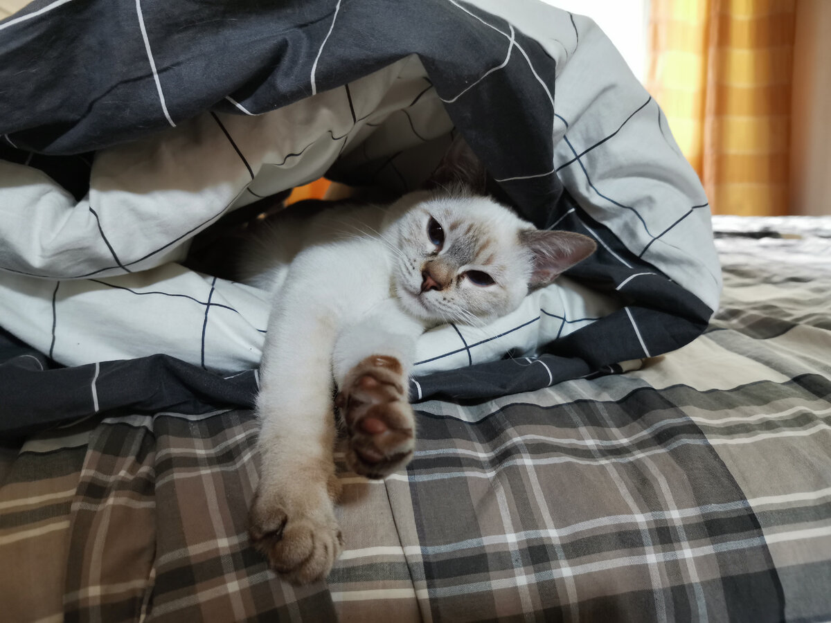 И как она додумалась? 