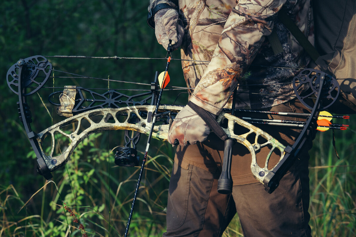 Magnum 30 Compound Bow