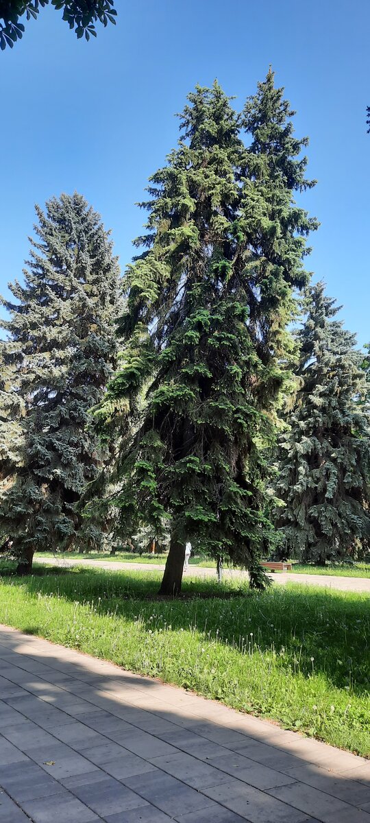 Голубое и мирное небо