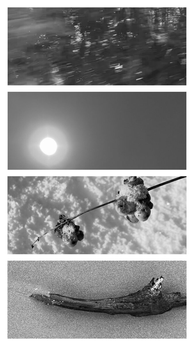 : таро, расклад, прогноз на месяц, предсказание, гороскоп, эстетика, фотография, природа