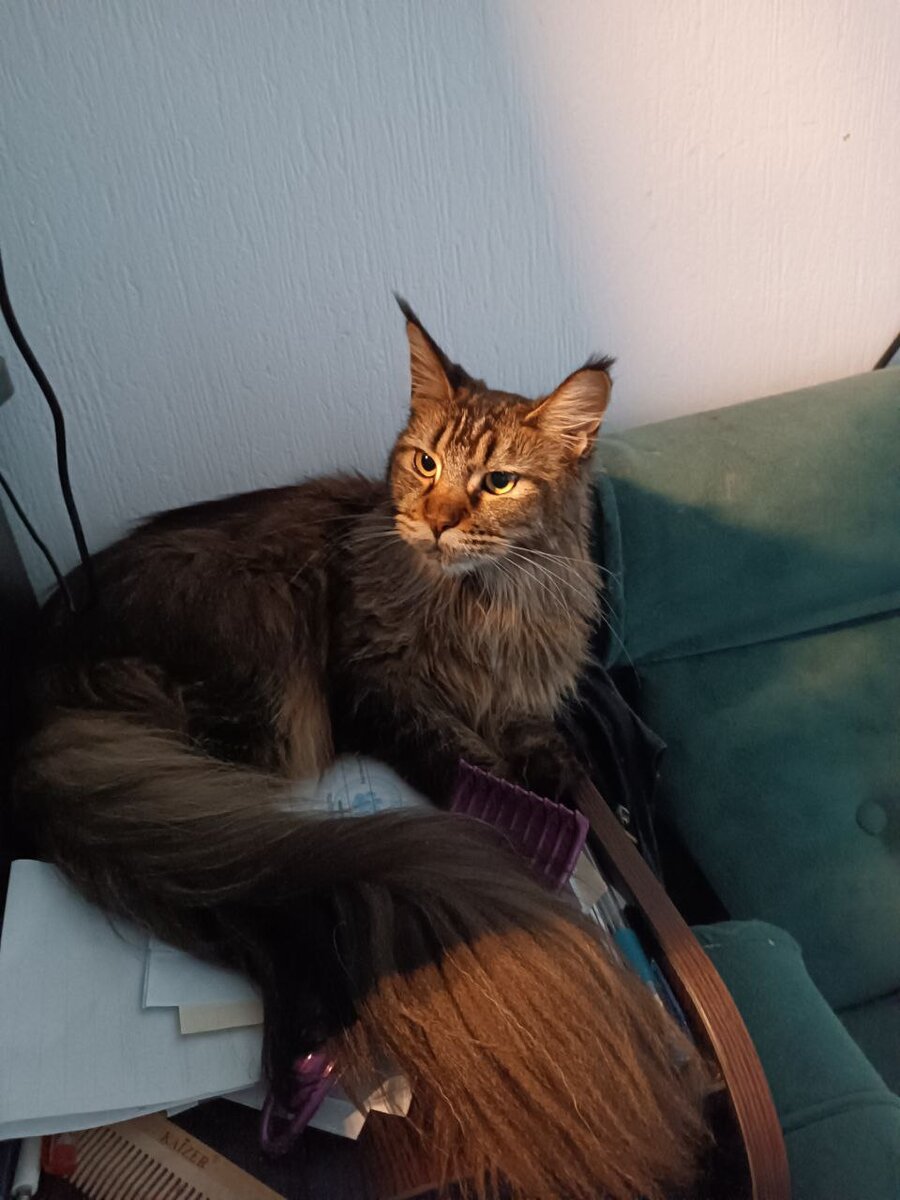 Кто же это меня ждет...