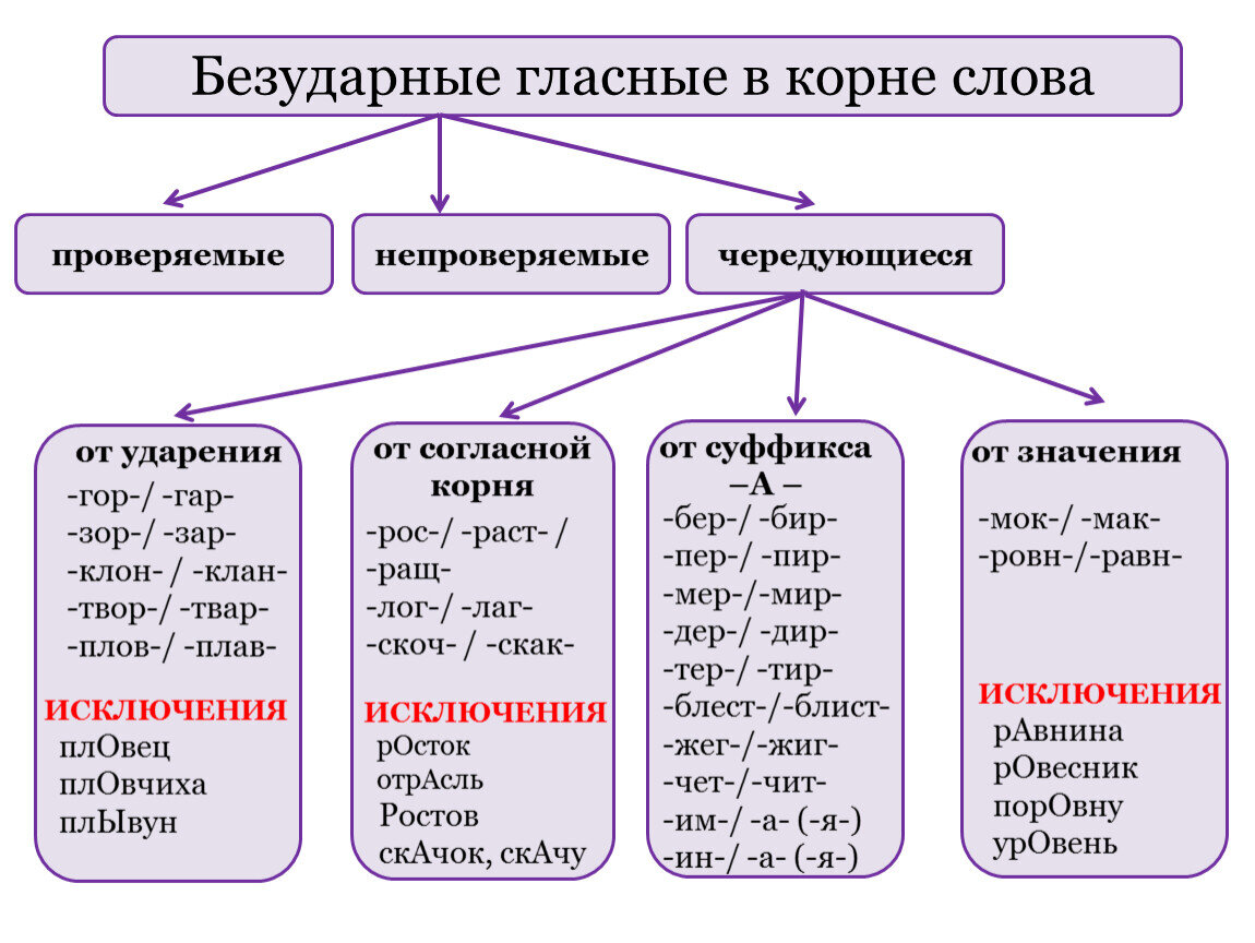 Подготовка к ОГЭ по русскому языку: изложение, сочинение