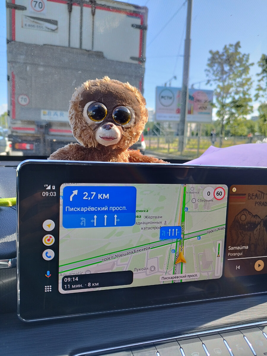 Смотрит на меня влюбленными глазами