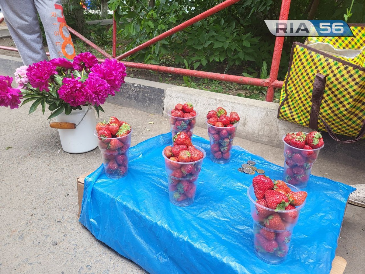  📷    В Оренбурге начали продавать местную клубнику Марина Шарт