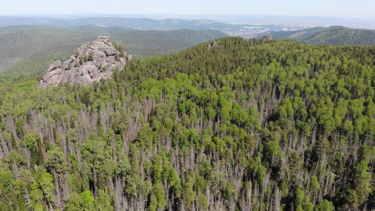     В национальном парке «Красноярские Столбы» вводится запрет на посещение пока на четыре дня. Всё из-за угрозы пожара.