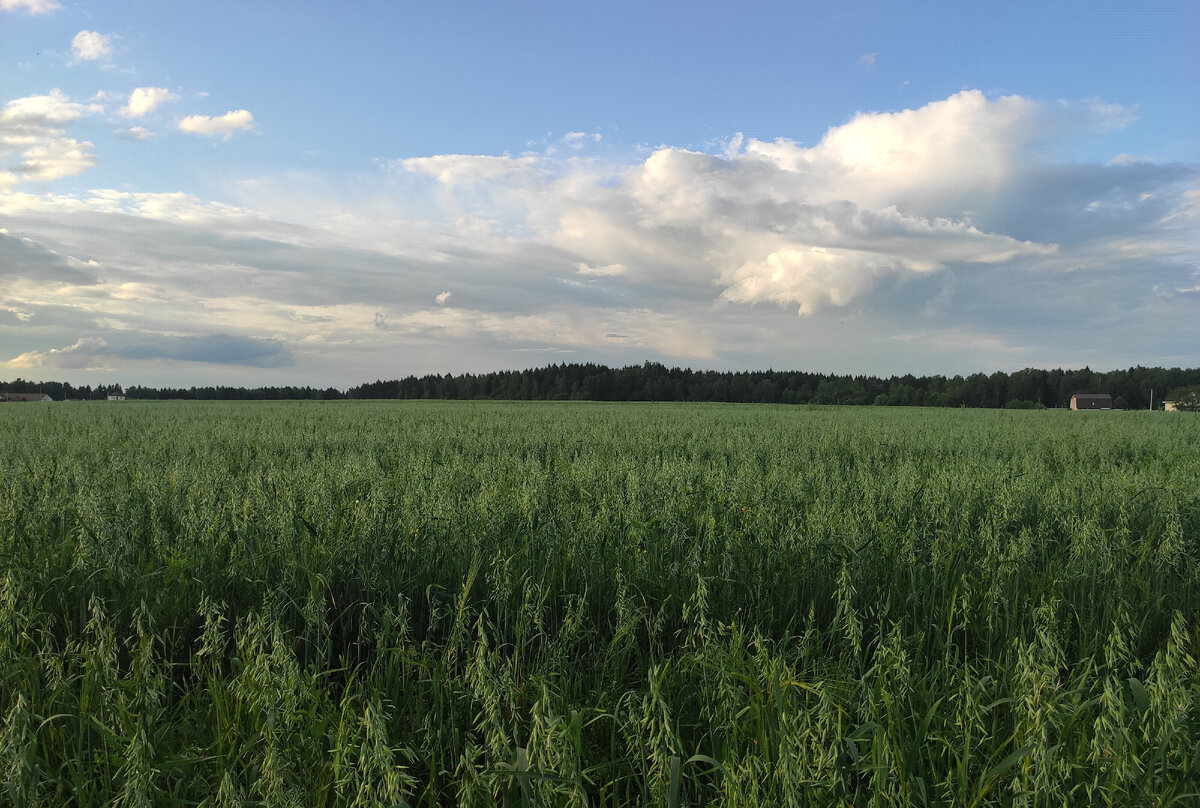 Личное фото автора