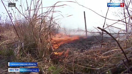 В Калининградской области установлен высший класс чрезвычайной пожароопасности