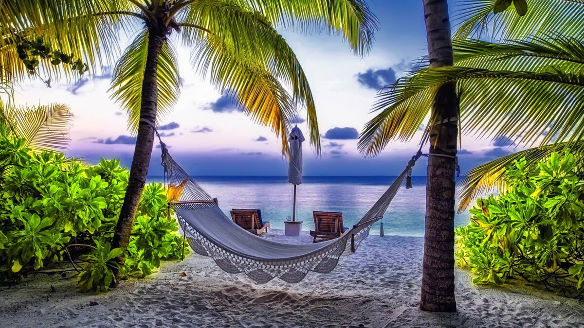 источник: https://ru.wallpaper.mob.org/pc/image/photography-beach-640896.html