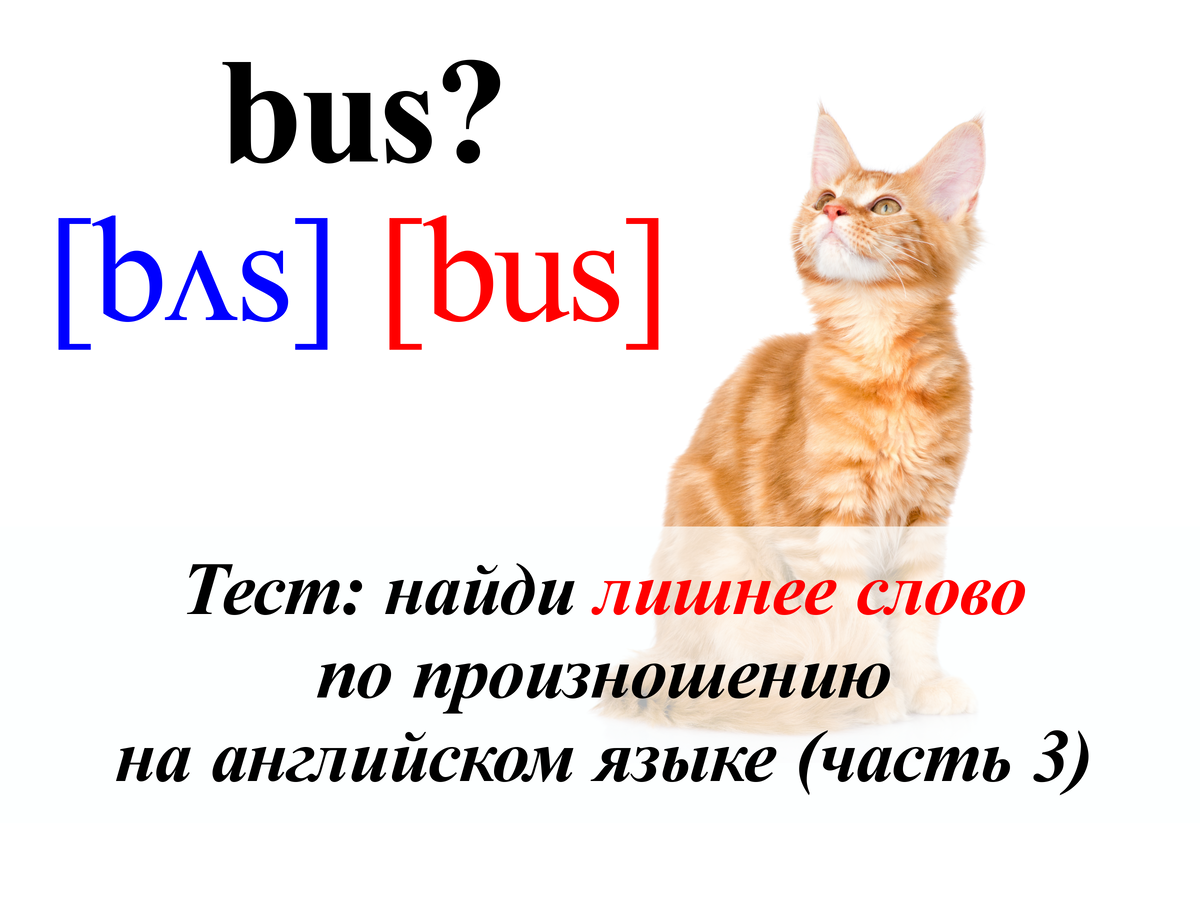 Тест: найди лишнее слово по произношению на английском языке (часть 3) |  English Cats | Дзен