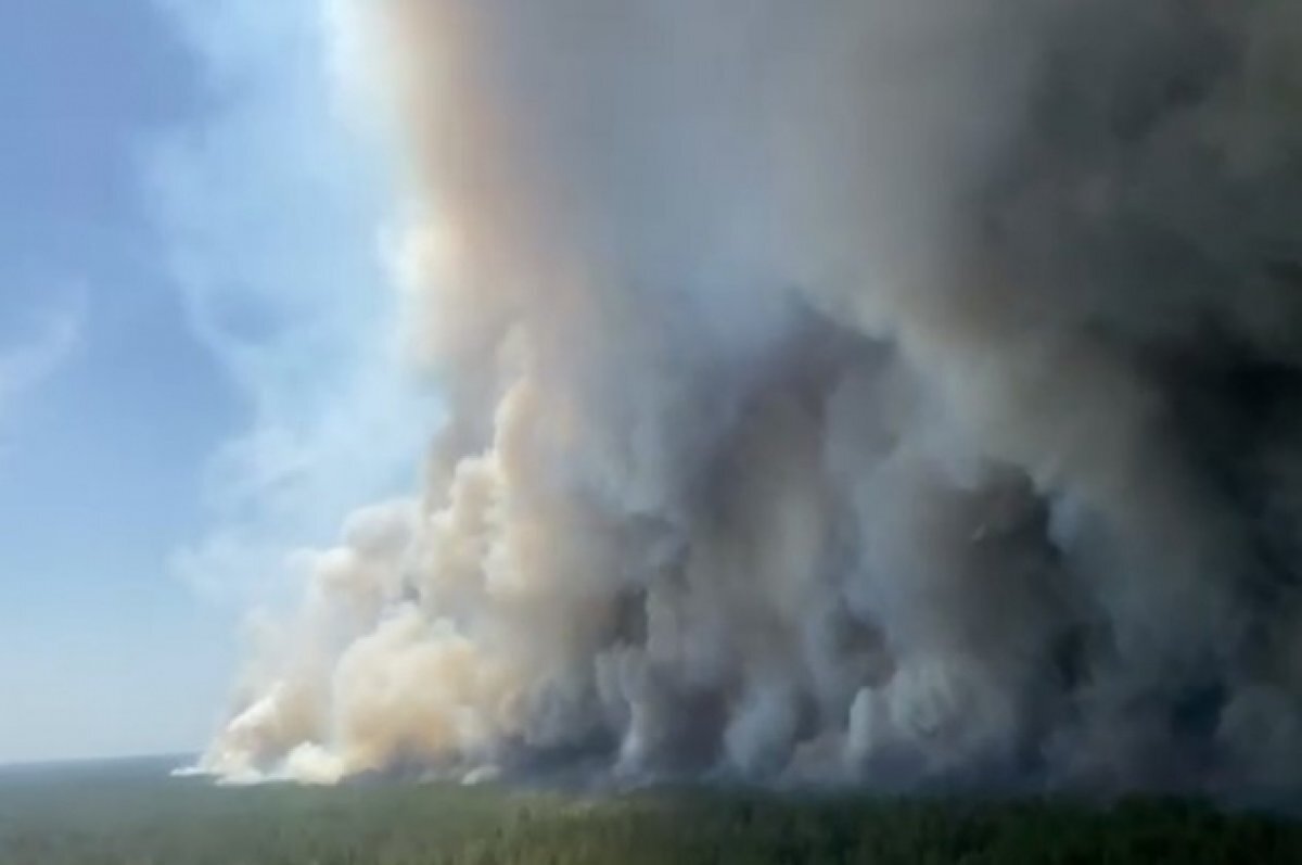    В одном из районов Алтайского края введен режим ЧС из-за лесных пожаров