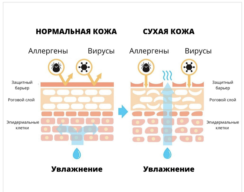 Как восстановить кожный барьер