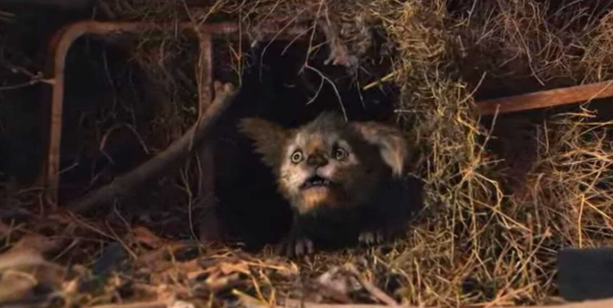 Чупа в сене. Кадр из фильма.