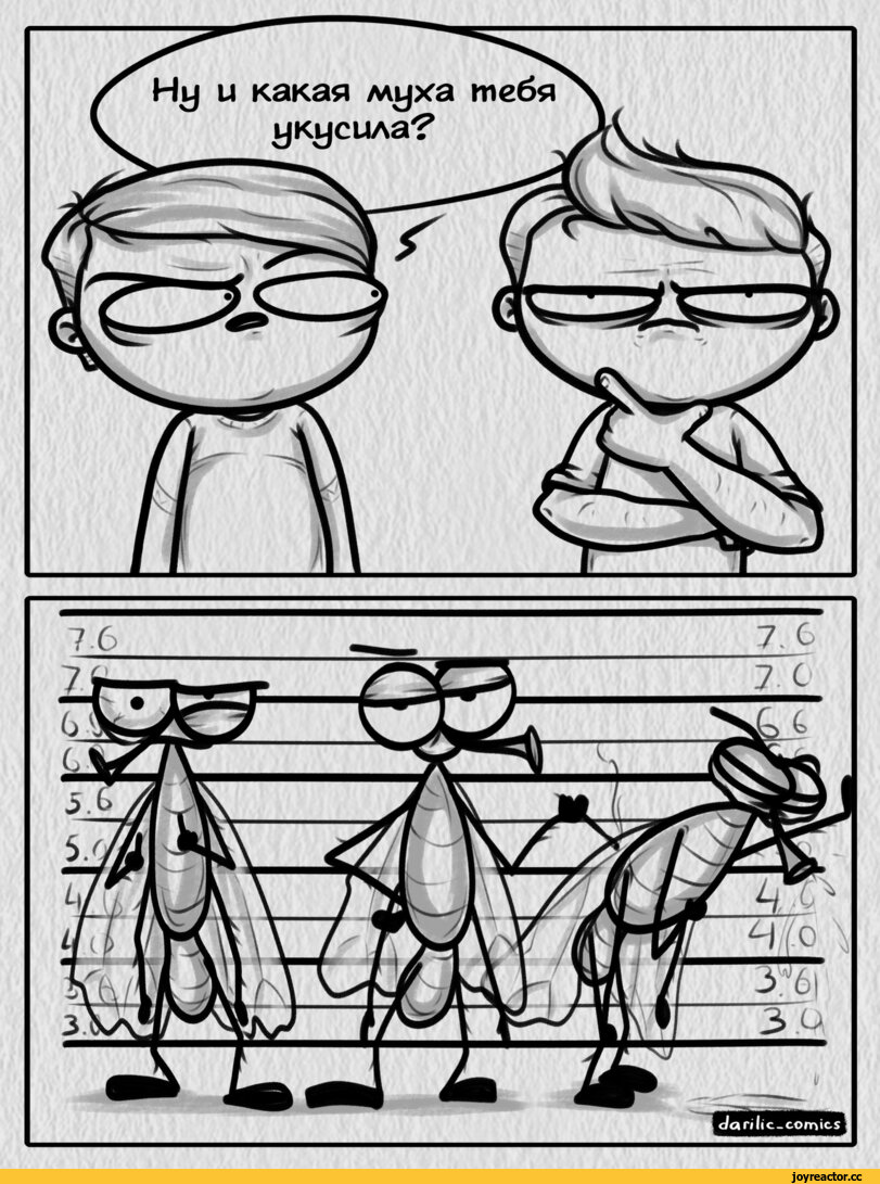 В нашем лесу процесс опознания преступника может затянуться до бесконечности )