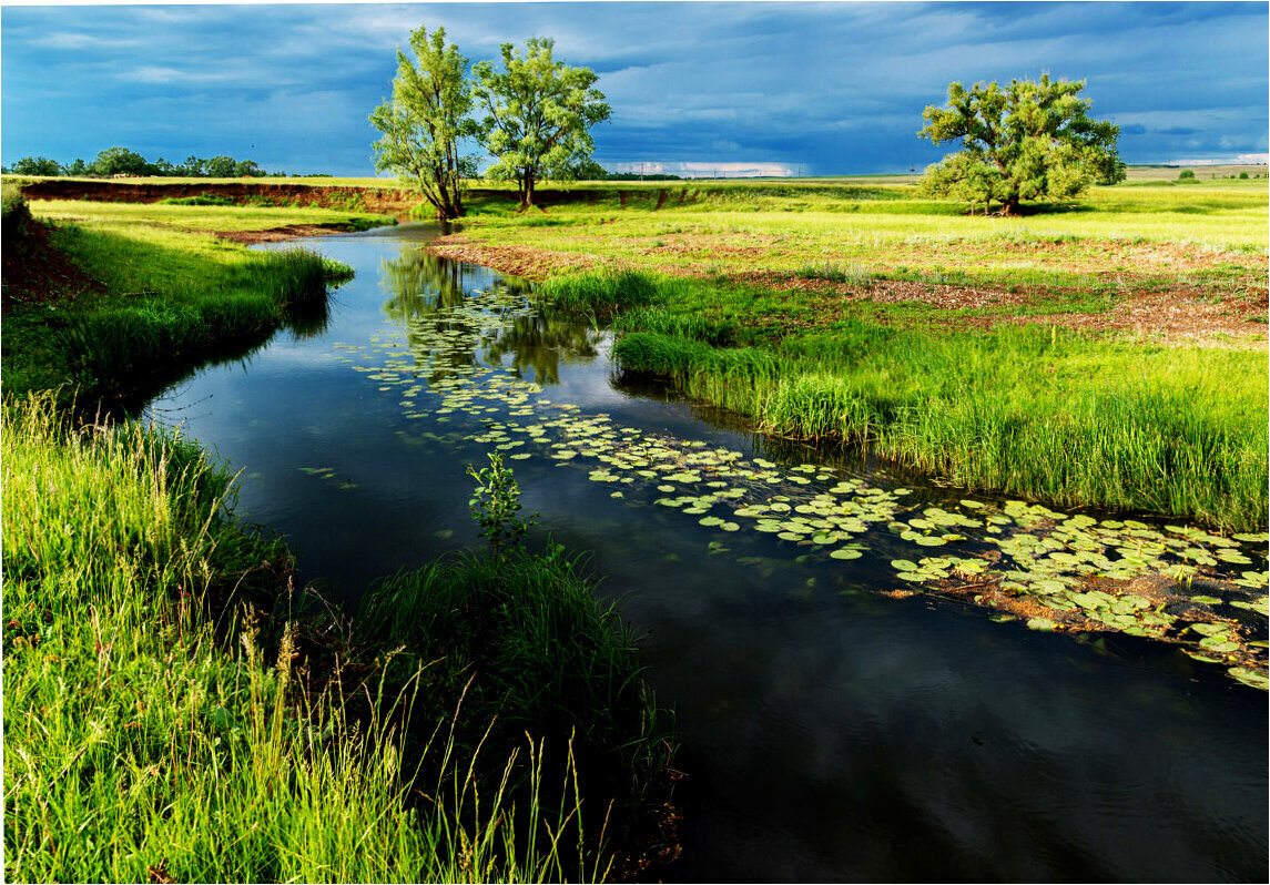 Фото из Яндекс.Картинки