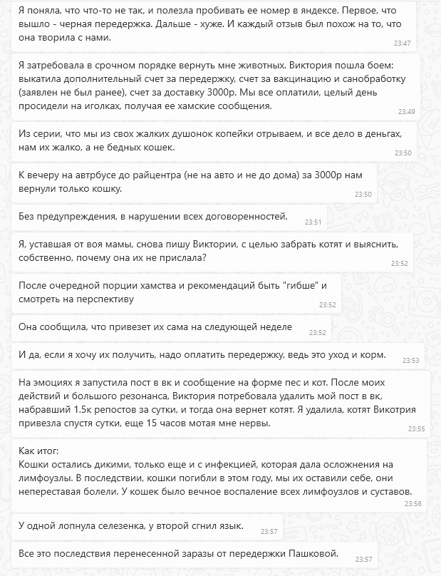 Оборотни среди волонтеров! Или о том, как зоозащитники с именем ...