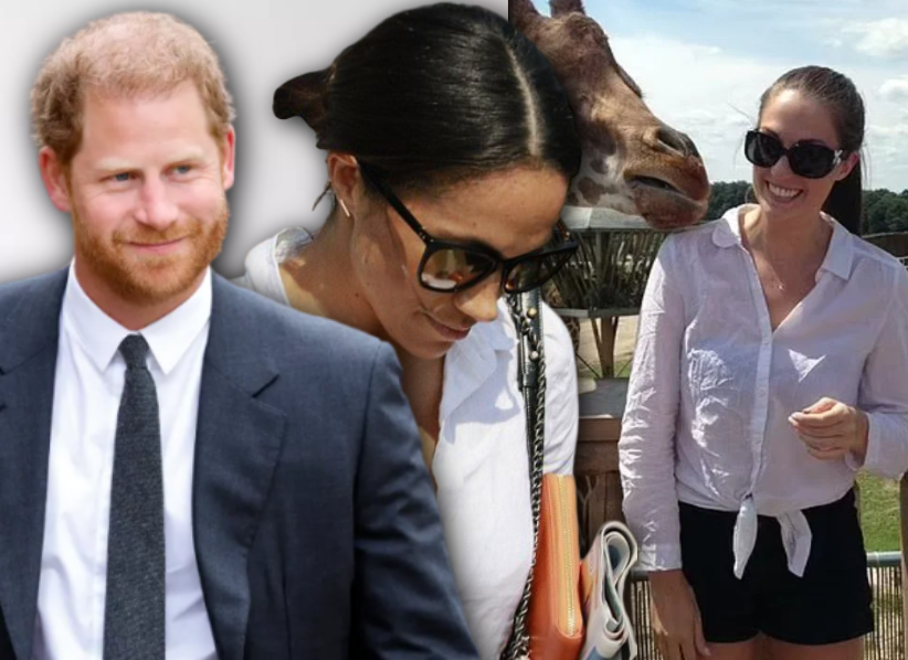 новое неожиданное