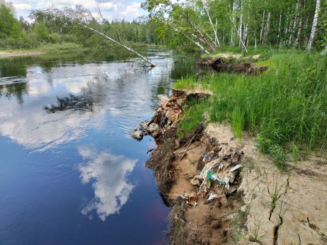    Фото Татьяны Постельных, Окский заповедник