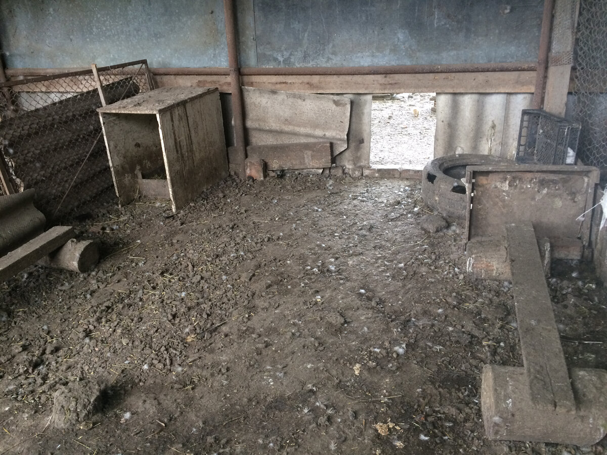 Так выглядит земляной пол не первой свежести