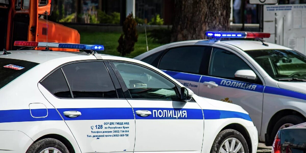 Фото: РИА «Новости» (https://cdnn1.img.crimea.ria.ru/img/07e6/06/06/1123454437_0:147:3067:1872_1920x0_80_0_0_aca1fa3cceb09912fc0c3a9002fb1ea2.jpg.webp)