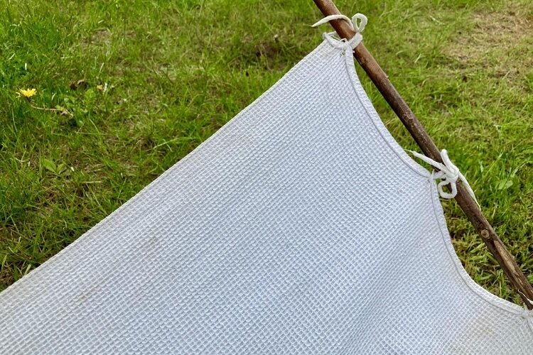 С изменением климата в сторону повышения температуры, активизируются разнообразные насекомые, среди которых есть и очень опасные. Это клещи. Иксоидный клещ просыпается с наступлением тепла.-9