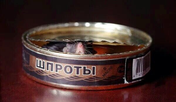 Источник: Яндекс картинки