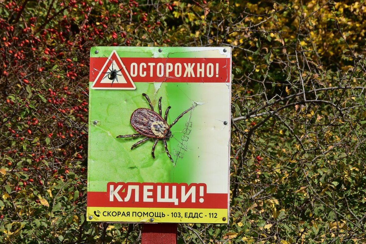 Фото: Гала Амарандо