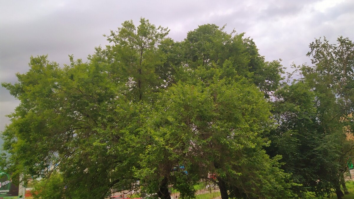     Граждане, те, кто попроще, пойдут в баню, а те, кто побогаче — в сауну. Одни будут мыться и париться, а другие будут проводить приятный досуг с ветреными особями другого пола, дабы хорошо попарить самим или качественно быть отпаренными.