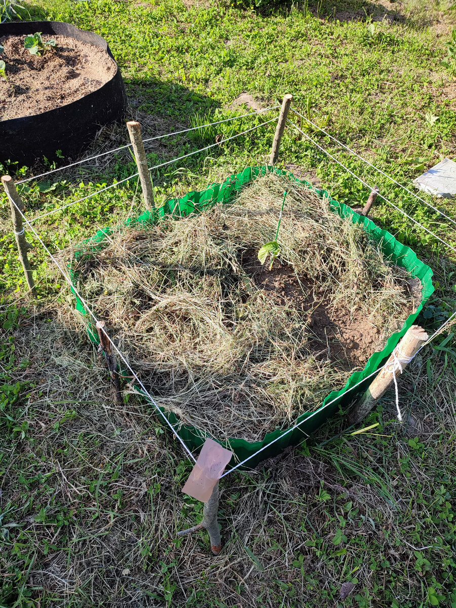 Вот так это выглядит поближе. Между бордюром и стойками остается расстояние, которое заполняется сеном. Этот бордюр потом будет защищать плетень и тот должен, по идее, прослужить дольше.